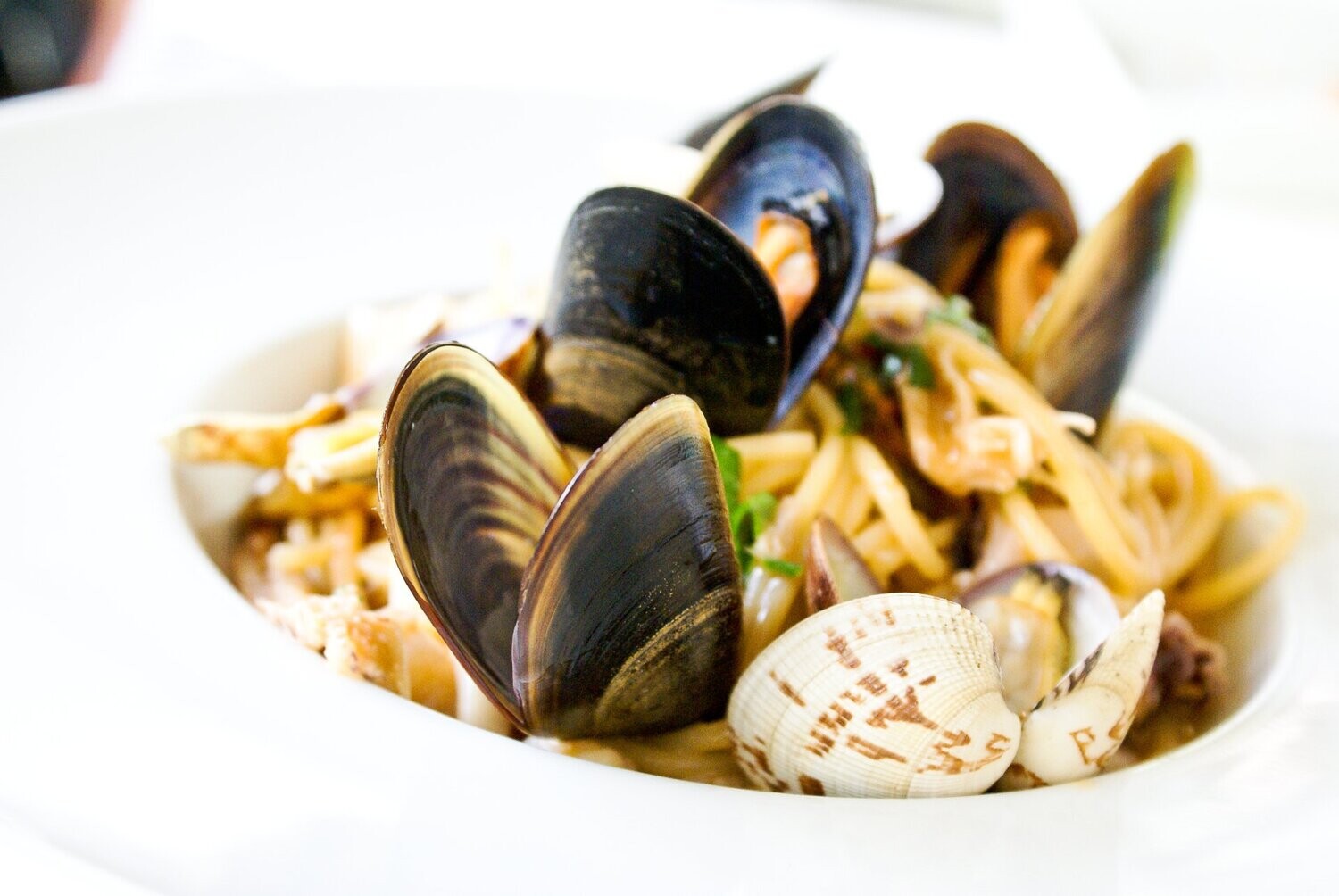 CURRY CREAM MUSSELS (Mussels cooked and served with a creamy curry sauce)